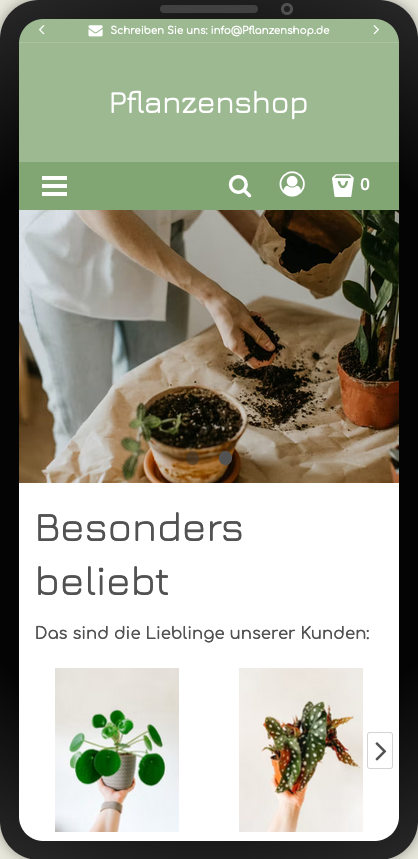 Beispiel für eine Anzeige auf einem Smartphone