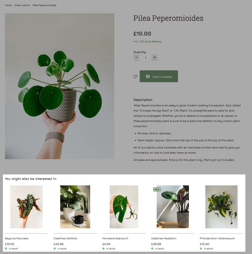 Example of cross-selling on a product page