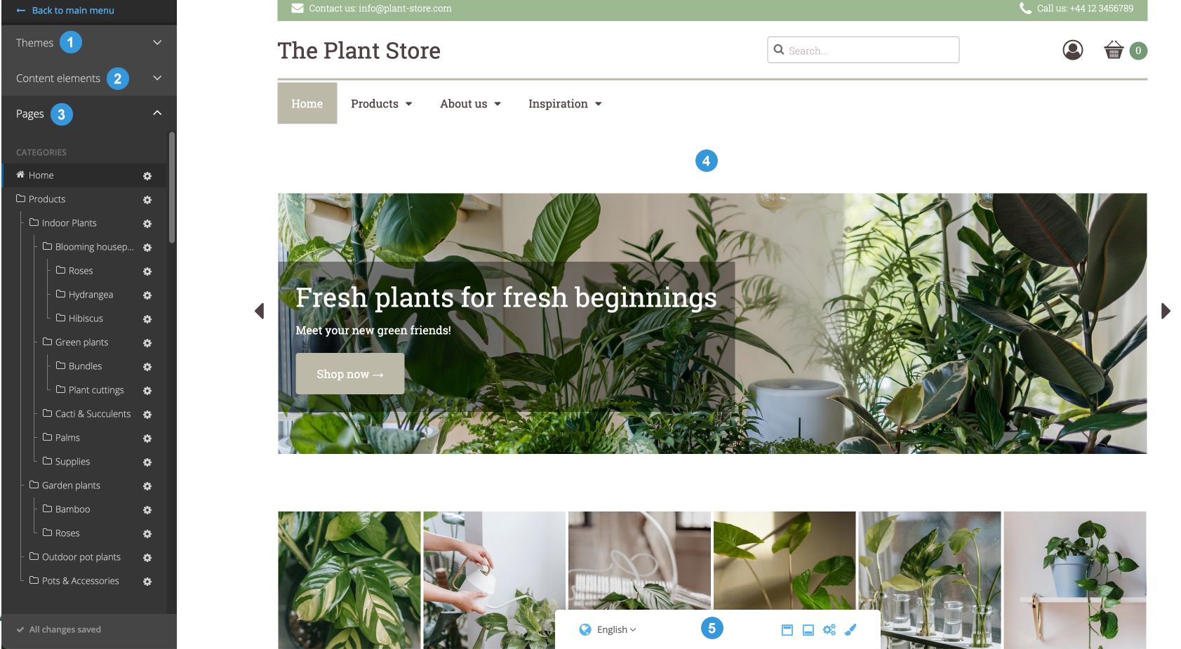 Sections of the Editor