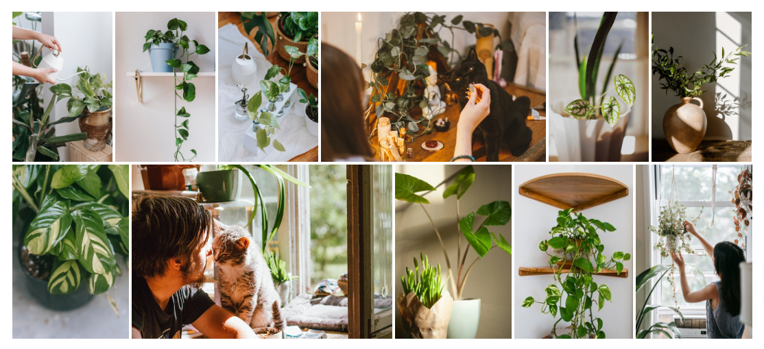 Image gallery showing multiple photos in a grid