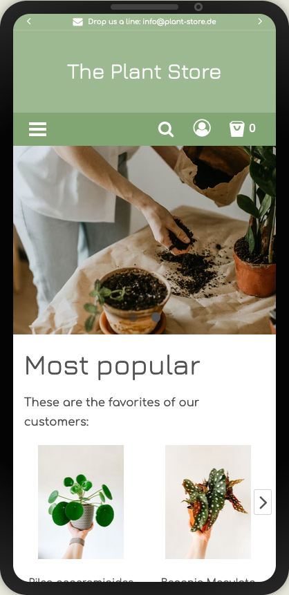 Example of a display on a smartphone