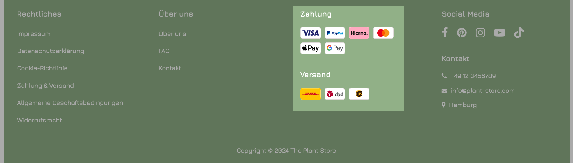 Beispiel für die Anzeige von Zahlungs- und Versandmethoden in einem Spaltenlayout-Footer