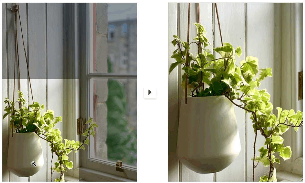 Esempio di zoom dell'immagine di un prodotto