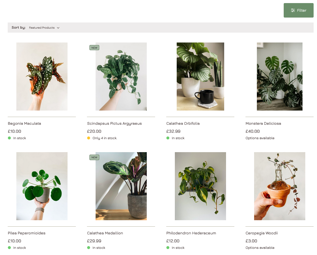 Esempio di pagina di categoria con immagini uniformi dei prodotti