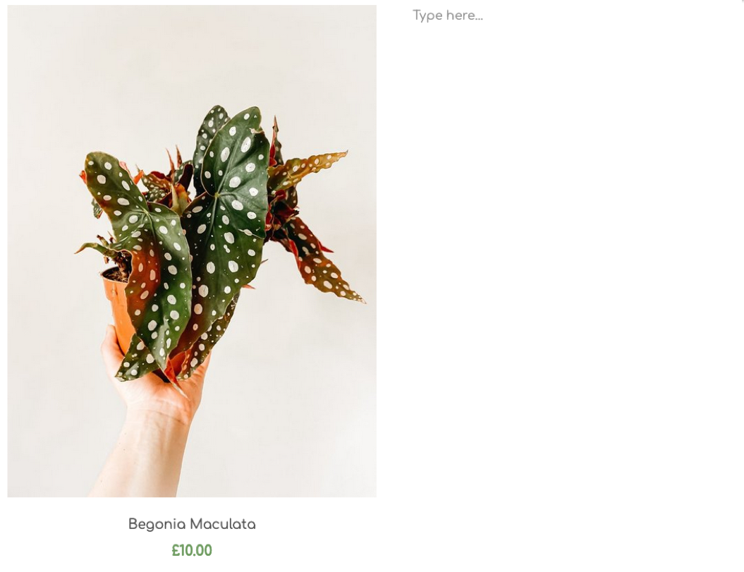 Example: With product details