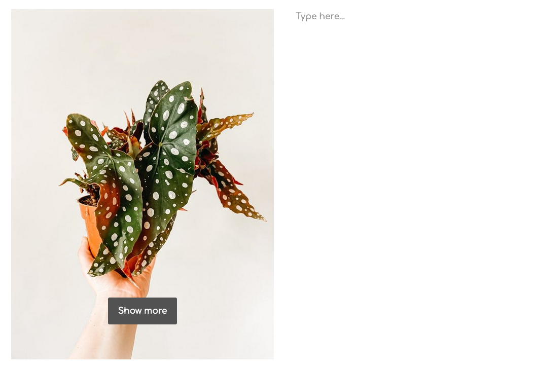 Example: Without product details